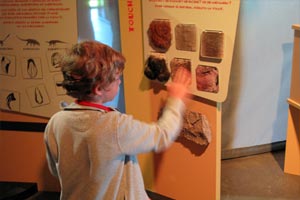 Paléospace : Treasure hunt at the museum