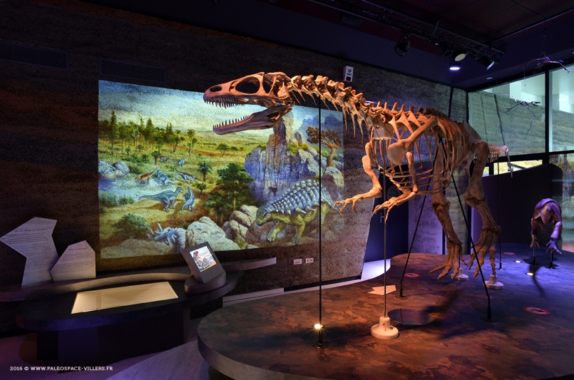 Paléospace, salle d'exposition Dinosaures @P.LEBRIS-M.FONTAINE